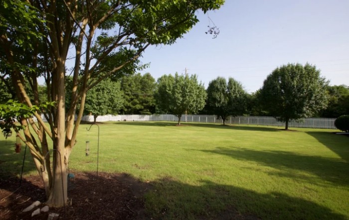 A lush backyard with a well-maintained lawn and several trees, bordered by a white fence on a sunny day.