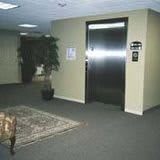 An office hallway with an elevator and indoor decor.