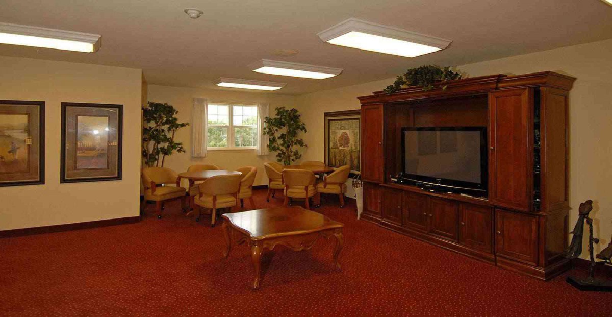 A cozy living room with a television, wooden furniture, and decorative plants.