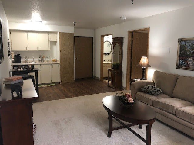 A cozy apartment living room with an adjacent kitchen area.
