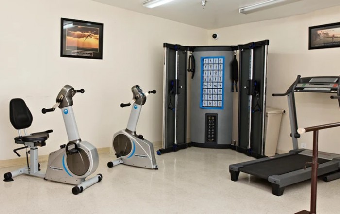 A well-equipped home gym featuring stationary bikes, a multigym machine, and a treadmill.
