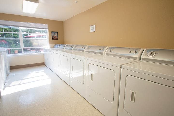 A bright and clean laundry room with multiple washing machines and dryers lined up against the wall.
