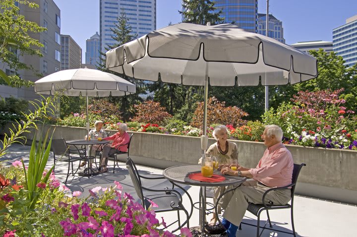 Elderly individuals enjoying a sunny day on a patio with city buildings in the background.