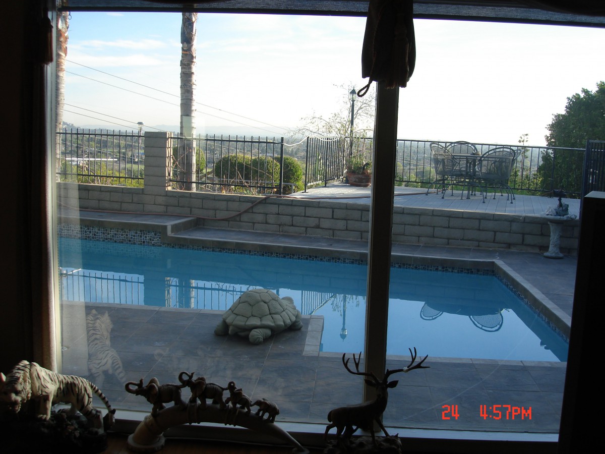 A view of a backyard pool and patio through a window on a sunny day.