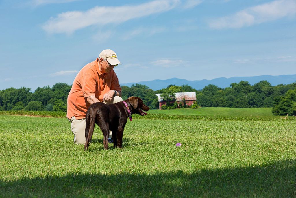 A man in an orange shirt trains his dog in a grassy field on a sunny day.