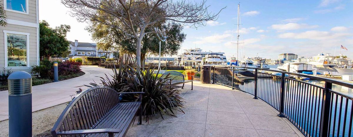 A scenic view of a marina with boats docked along the harbor and benches under trees on a sunny day.