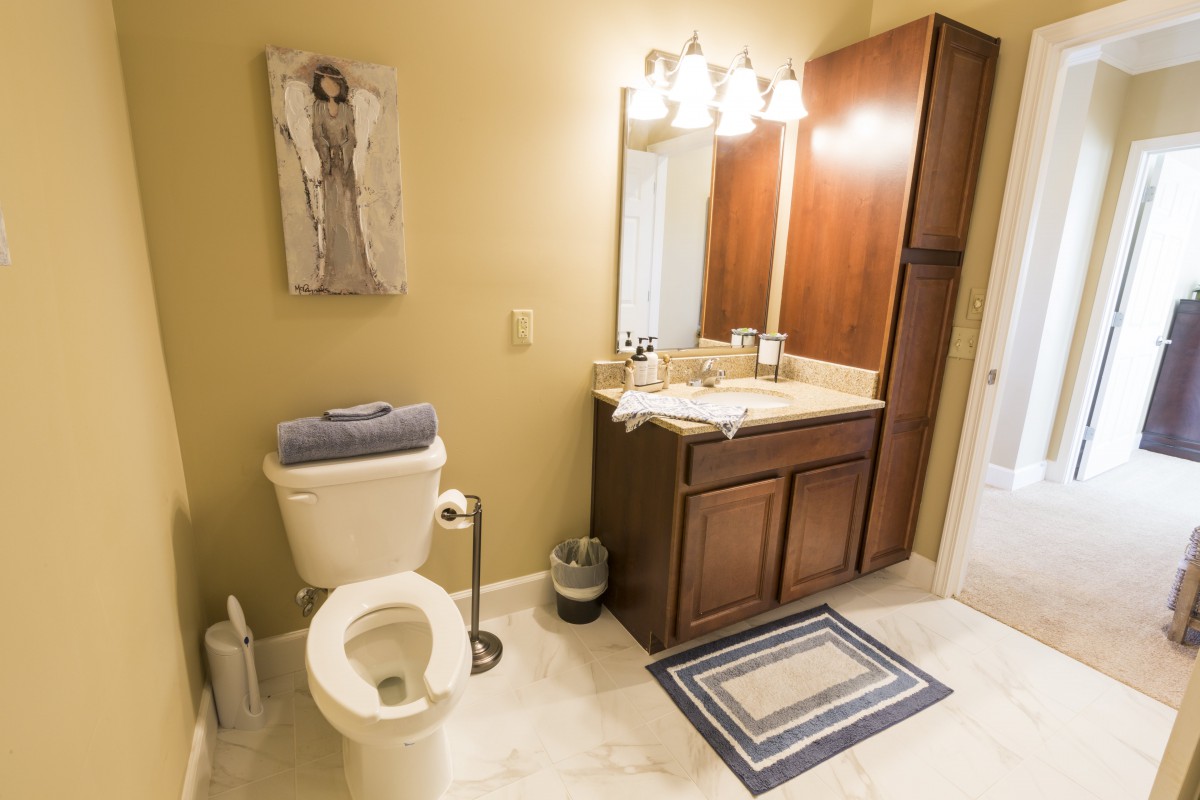 A clean and well-organized bathroom with a toilet, sink, and wooden cabinets.