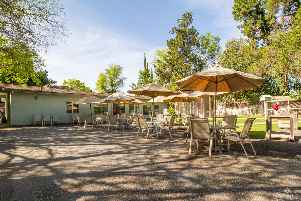 A sunny outdoor patio with tables, chairs, and umbrellas surrounded by trees.
