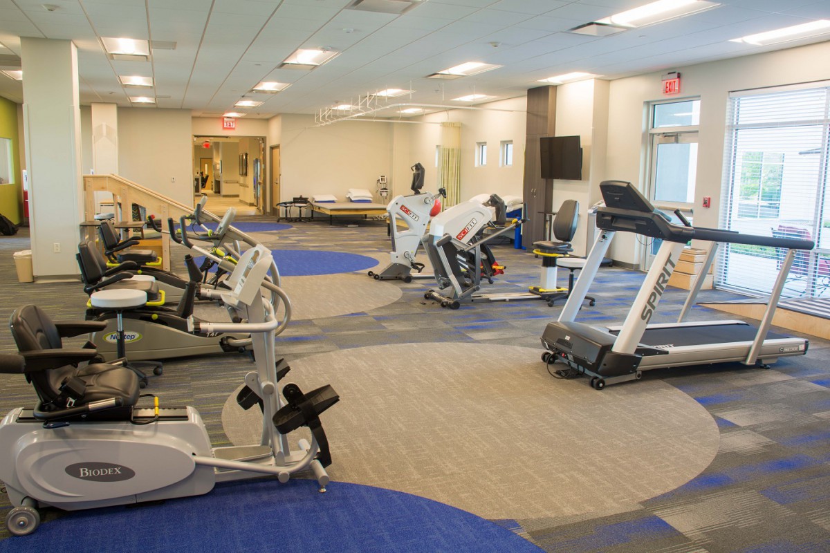 A well-equipped gym with various exercise machines and treadmills.