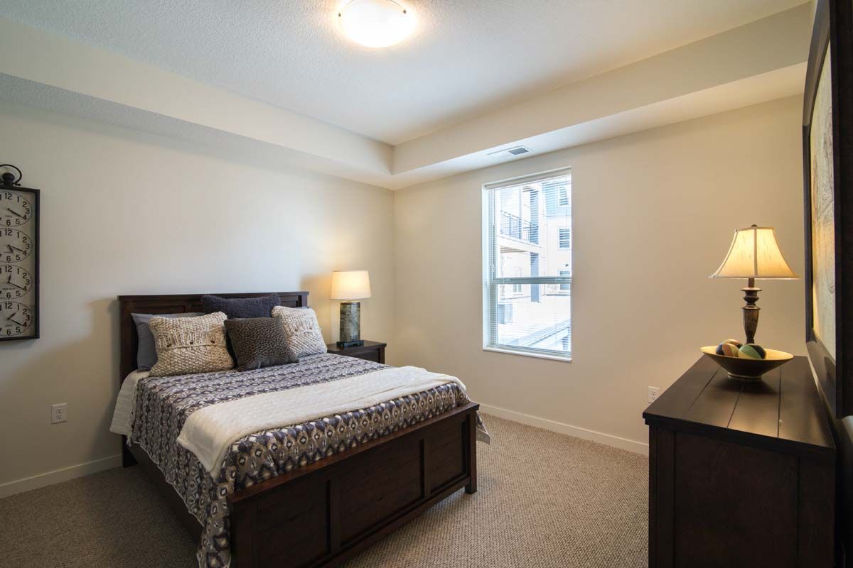 A modern bedroom with a neatly made bed, a bedside lamp, and natural light coming through the window.