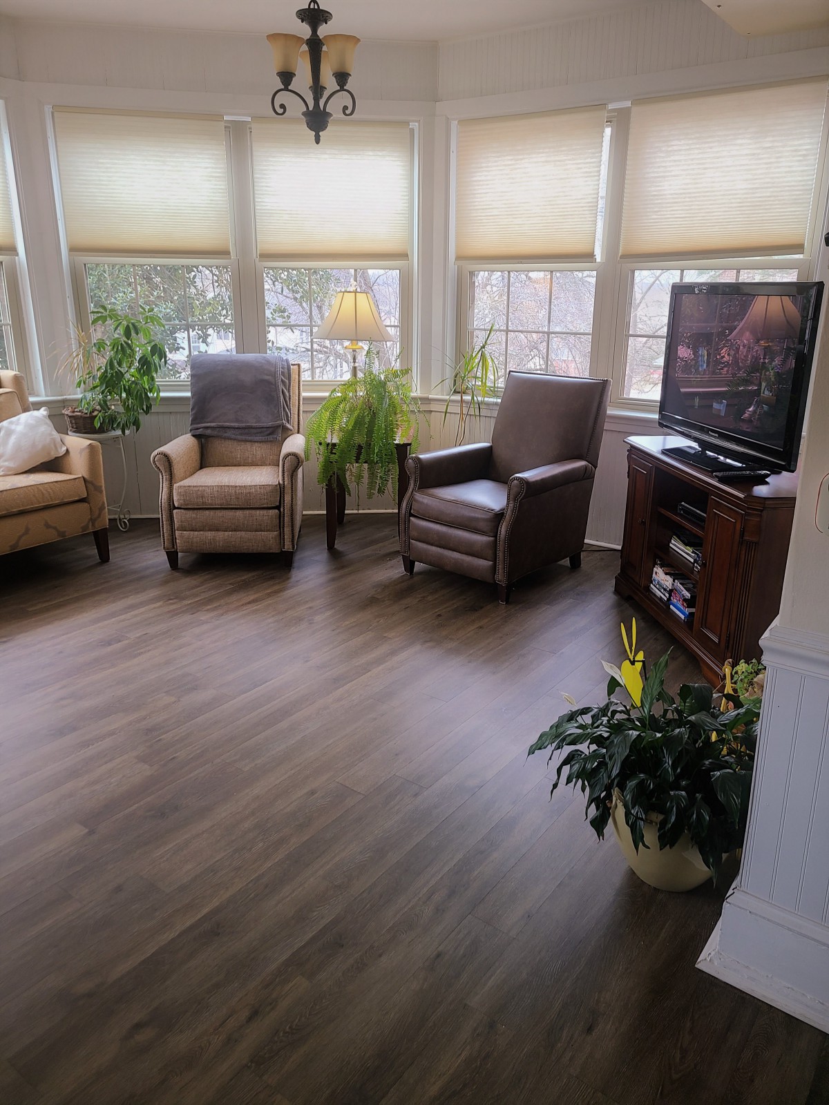 A cozy living room with comfortable seating and a TV, framed by large windows and houseplants.