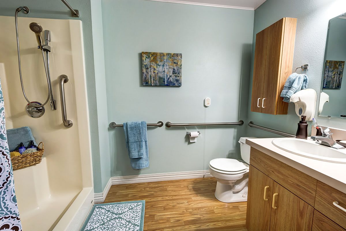 An accessible bathroom featuring grab bars, a toilet, a shower area, and decorative elements.