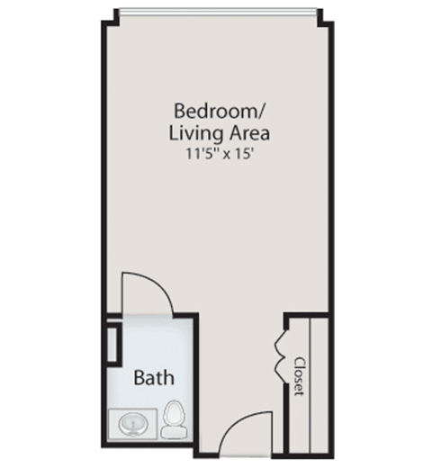 Studio apartment floor plan with a combined bedroom and living area, bathroom, and closet.
