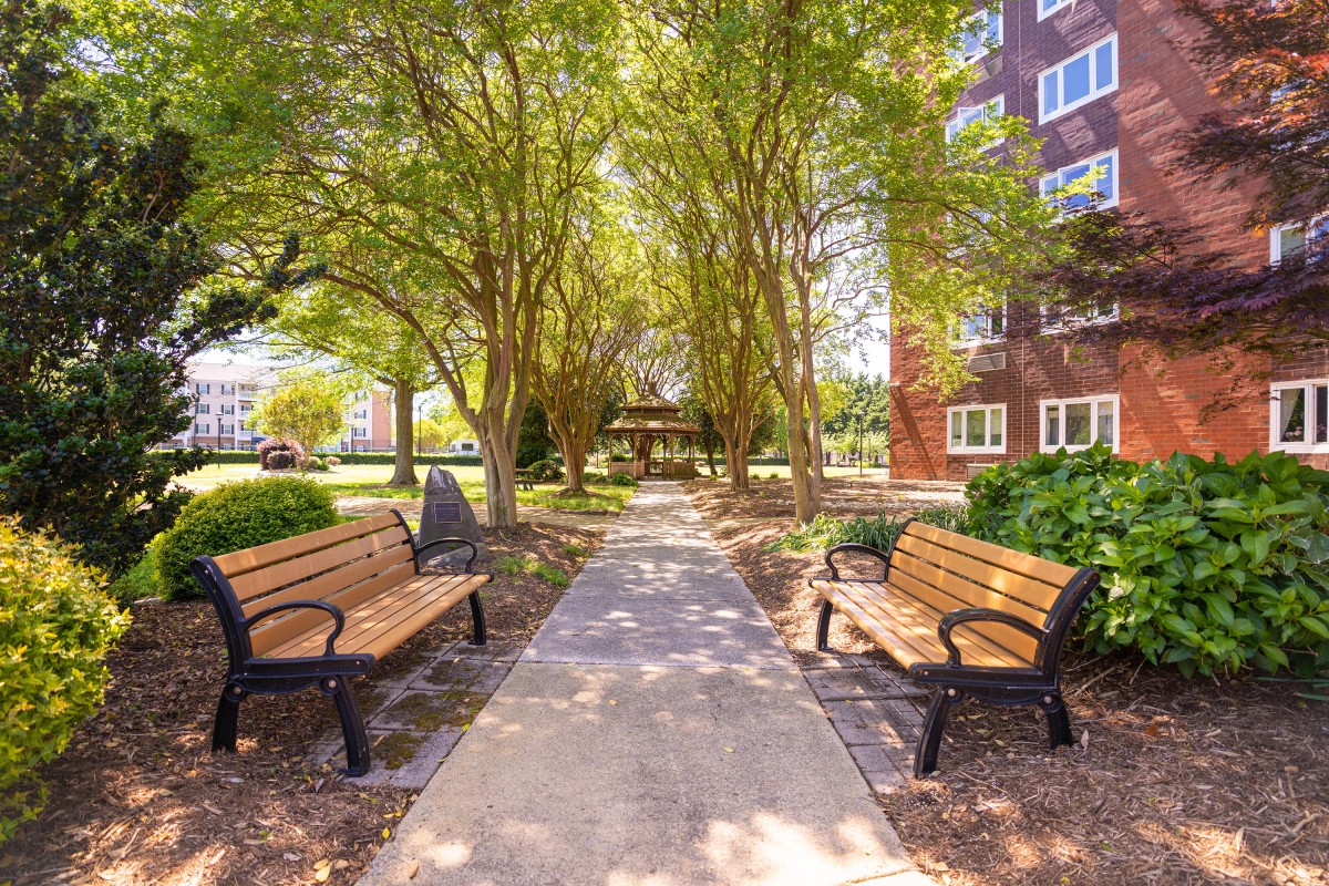 A peaceful park setting with benches along a tree-lined pathway near a building.