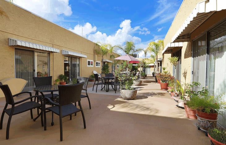 A sunny courtyard with tables, chairs, and plants under a blue sky.
