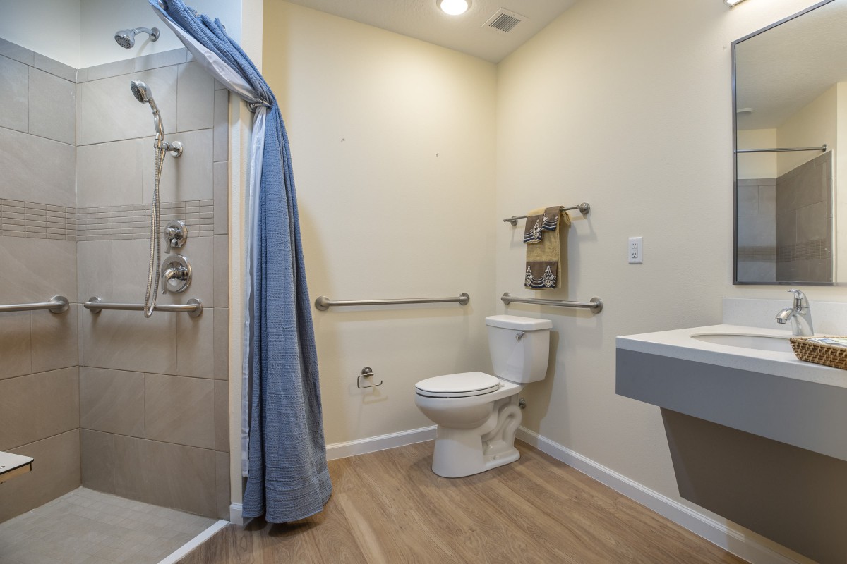 An accessible bathroom with grab bars, a shower, and a toilet.