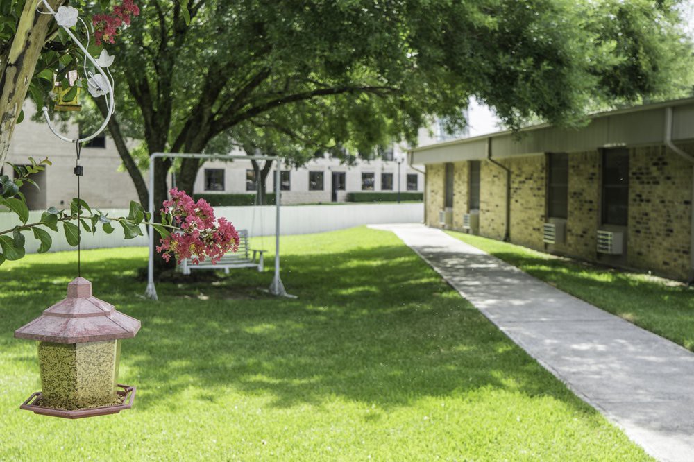A peaceful outdoor scene with a swing set under a tree beside a pathway leading to a building.