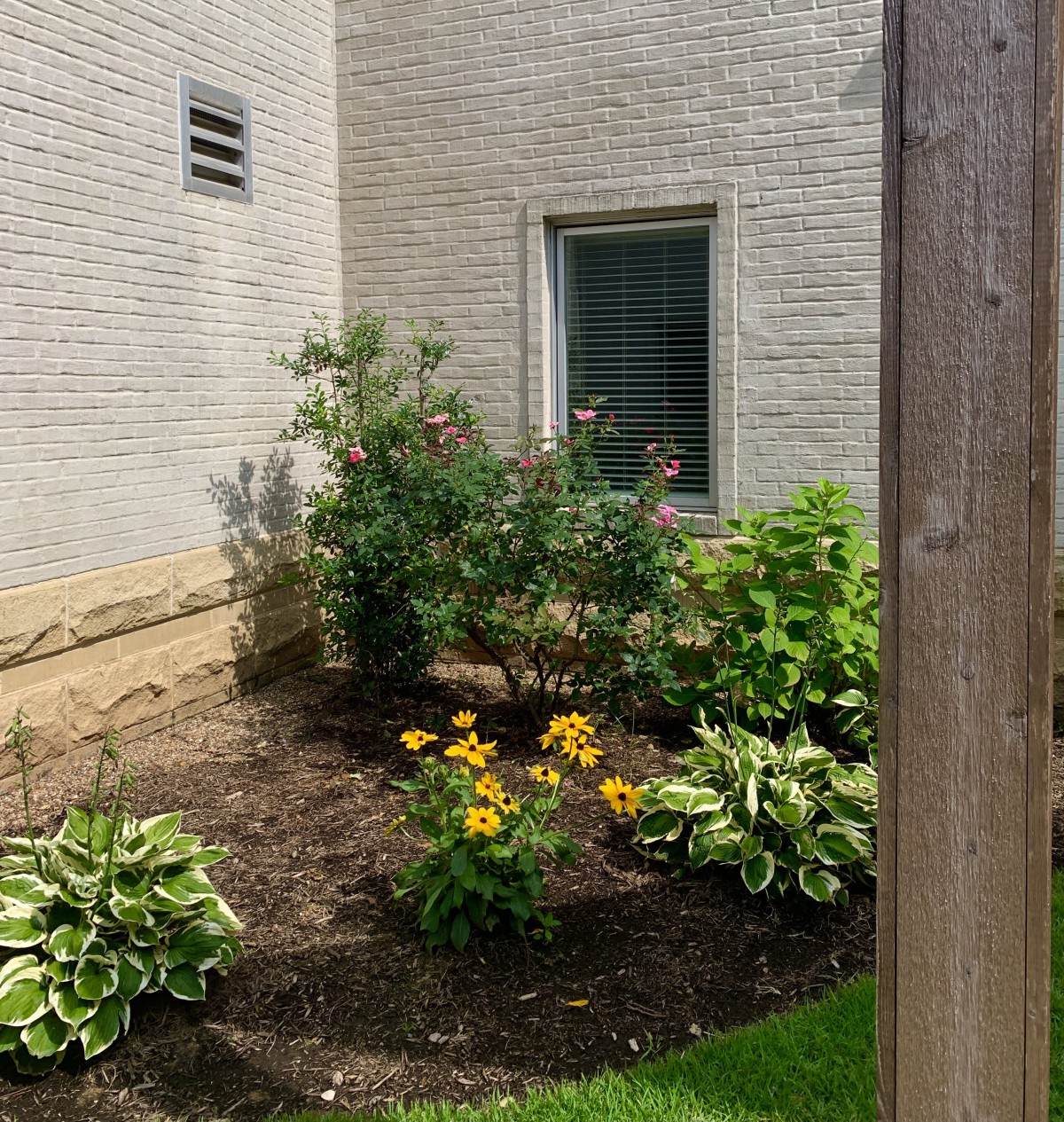 A small garden with various plants and flowers against a brick wall.