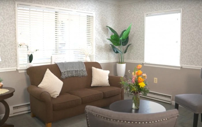 A cozy living room with a brown sofa, decorative pillows, and a potted plant near the window.