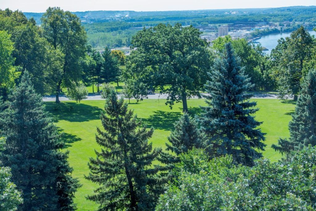 A scenic view of a lush park with various trees and greenery.