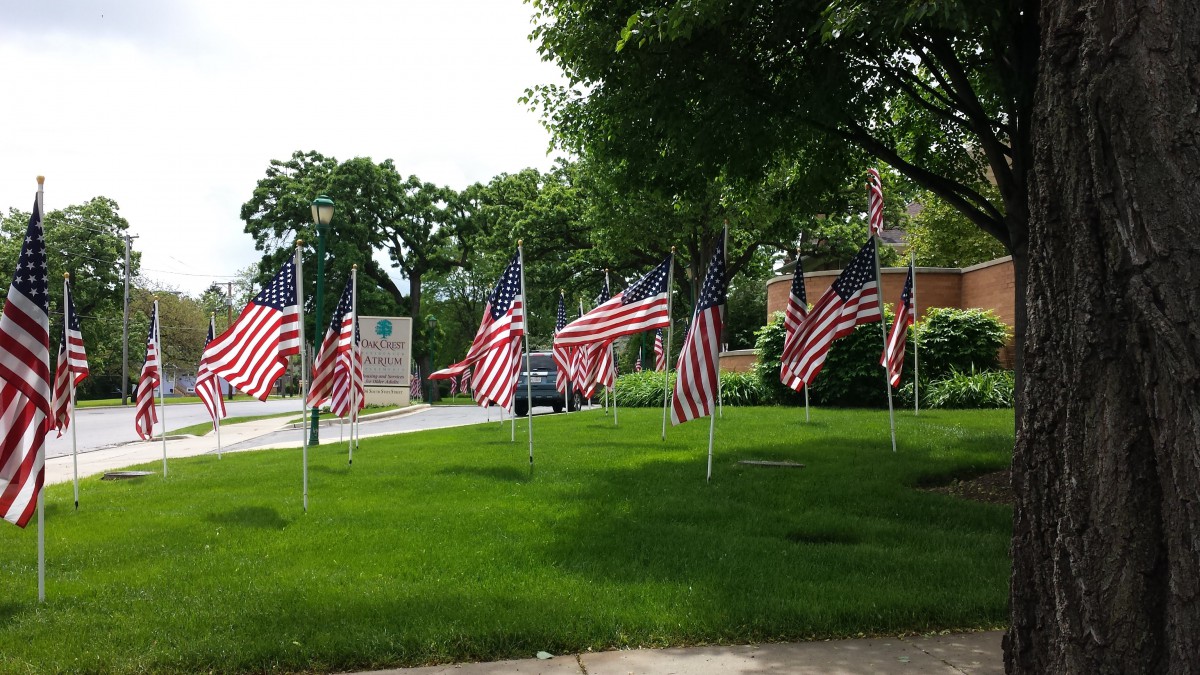A row of American flags displayed on a grassy area with trees in the background.