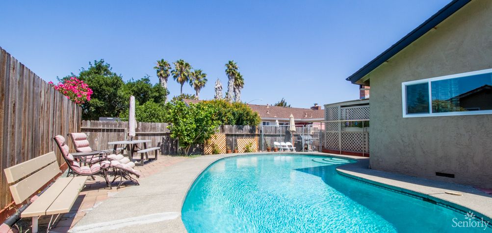 A sunny backyard with a swimming pool surrounded by trees and lounge chairs.