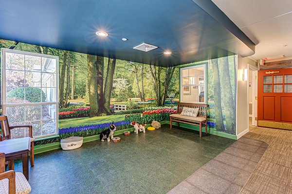 A pet-friendly indoor play area with a forest-themed mural and dogs enjoying the space.