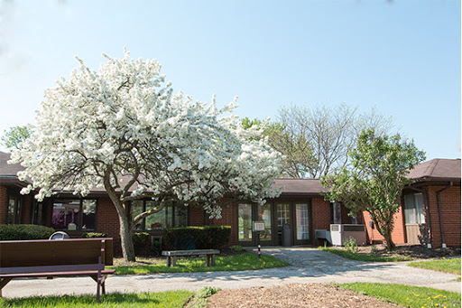 A serene house surrounded by blooming trees on a clear spring day.