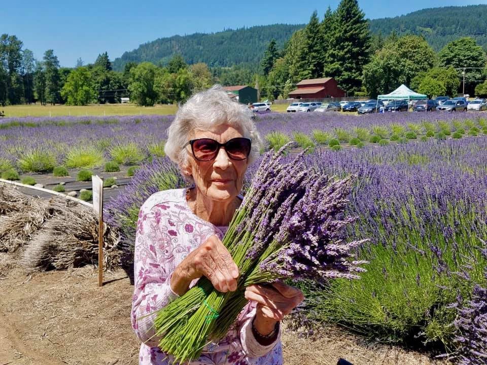 A woman holding a bouquet of lavender in a sunny field.