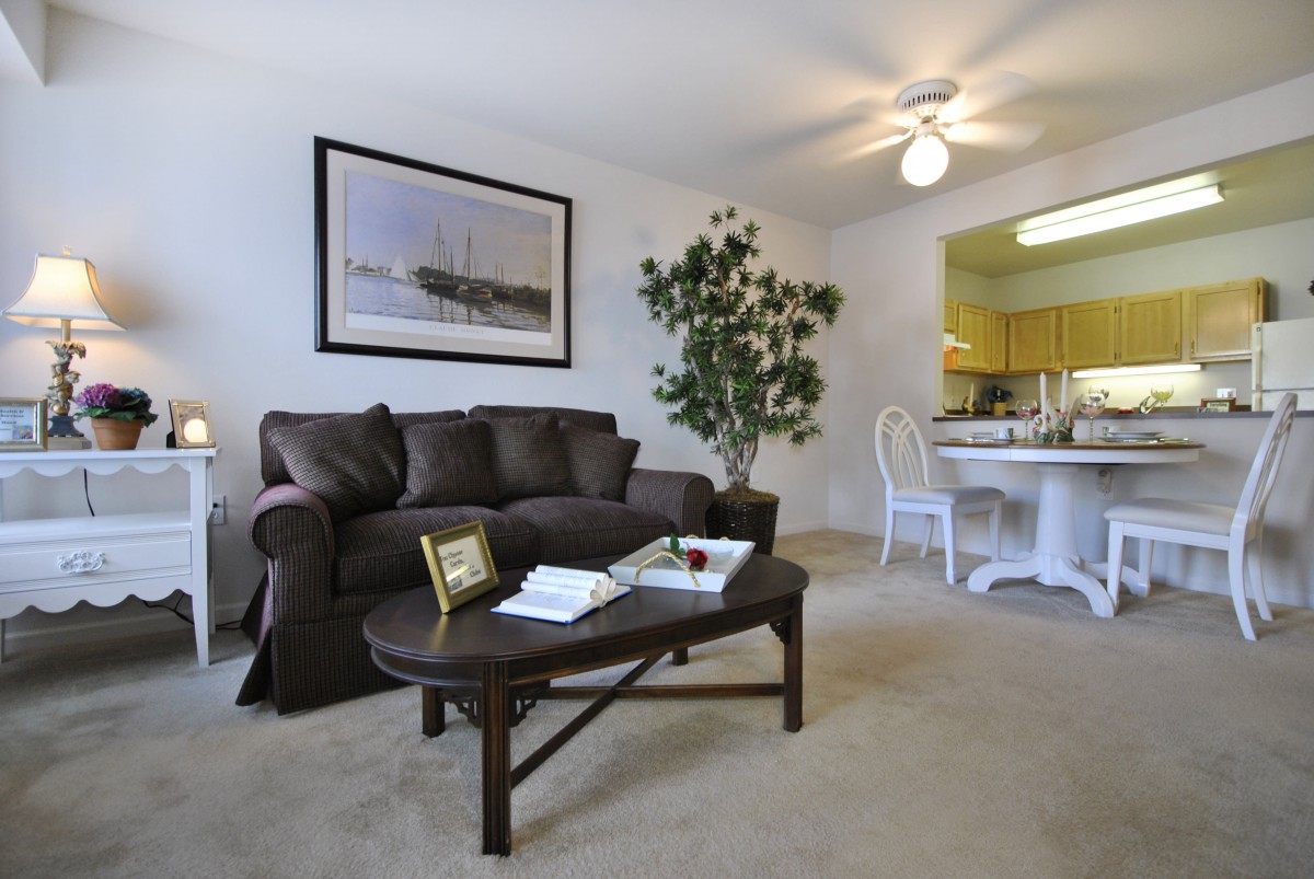 A cozy living room featuring a comfortable sofa, a coffee table with decor, an indoor plant, and an adjacent dining area.