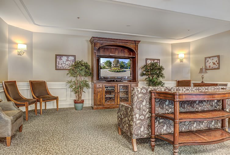 A cozy living room with a television, comfortable seating, and decorative plants.