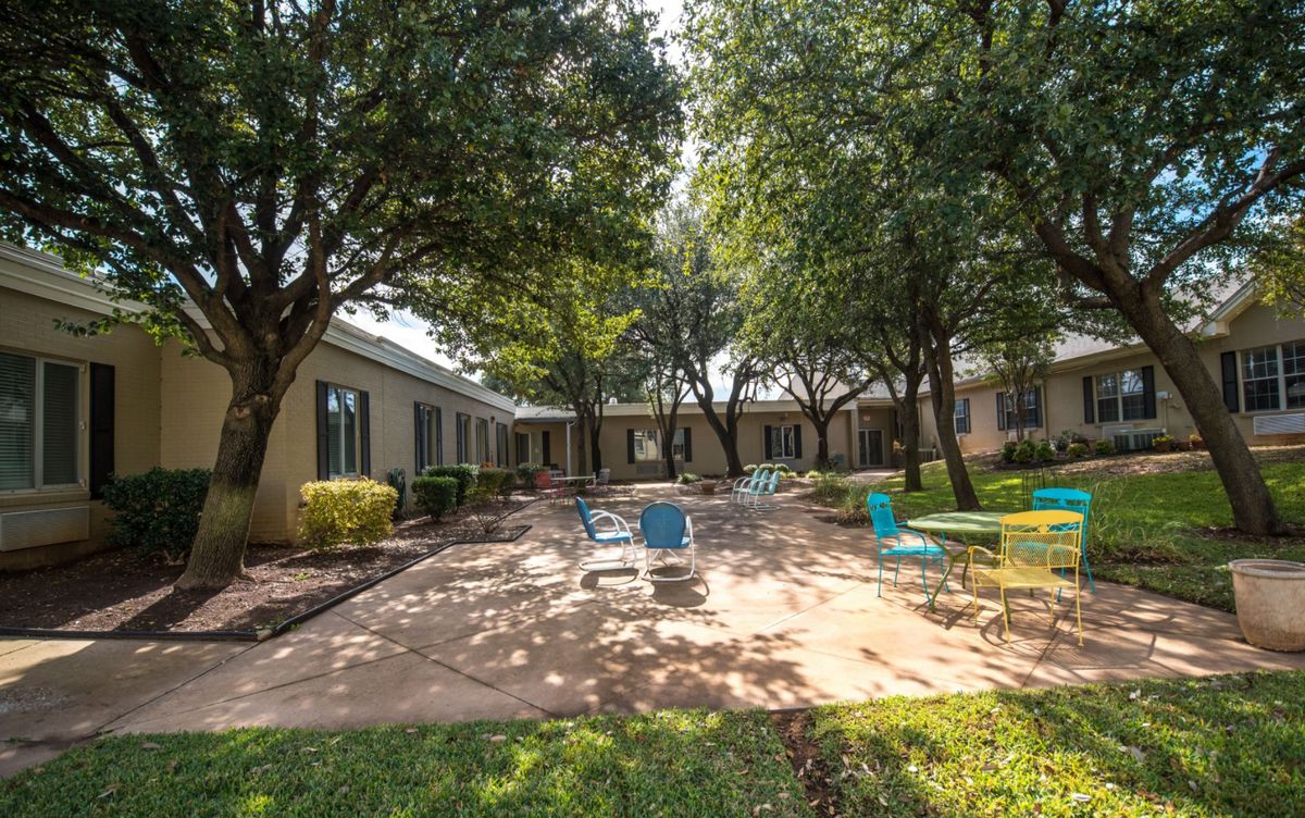 A peaceful courtyard with trees and chairs under the sunlight.
