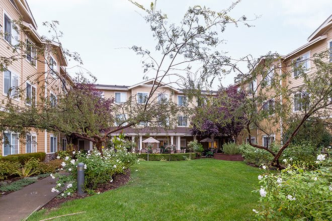 A serene garden with lush green grass and blooming flowers in front of a multi-story building.