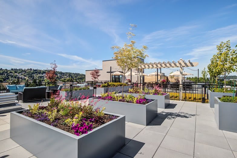 A modern rooftop garden with planters and urban views under a clear blue sky.