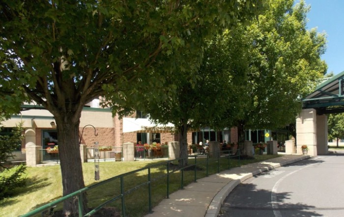A school building with a tree-lined walkway on a sunny day.