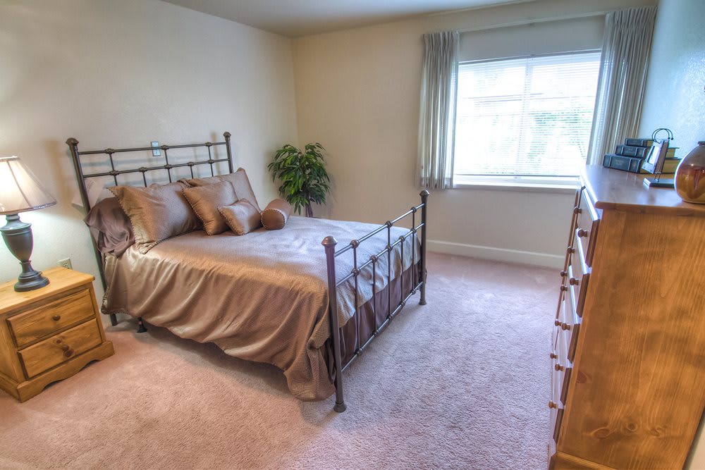 A cozy bedroom with a metal bed frame, soft bedding, and light carpet.