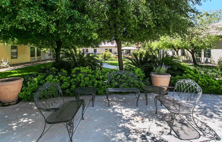 A tranquil garden area with outdoor seating surrounded by lush greenery and trees.