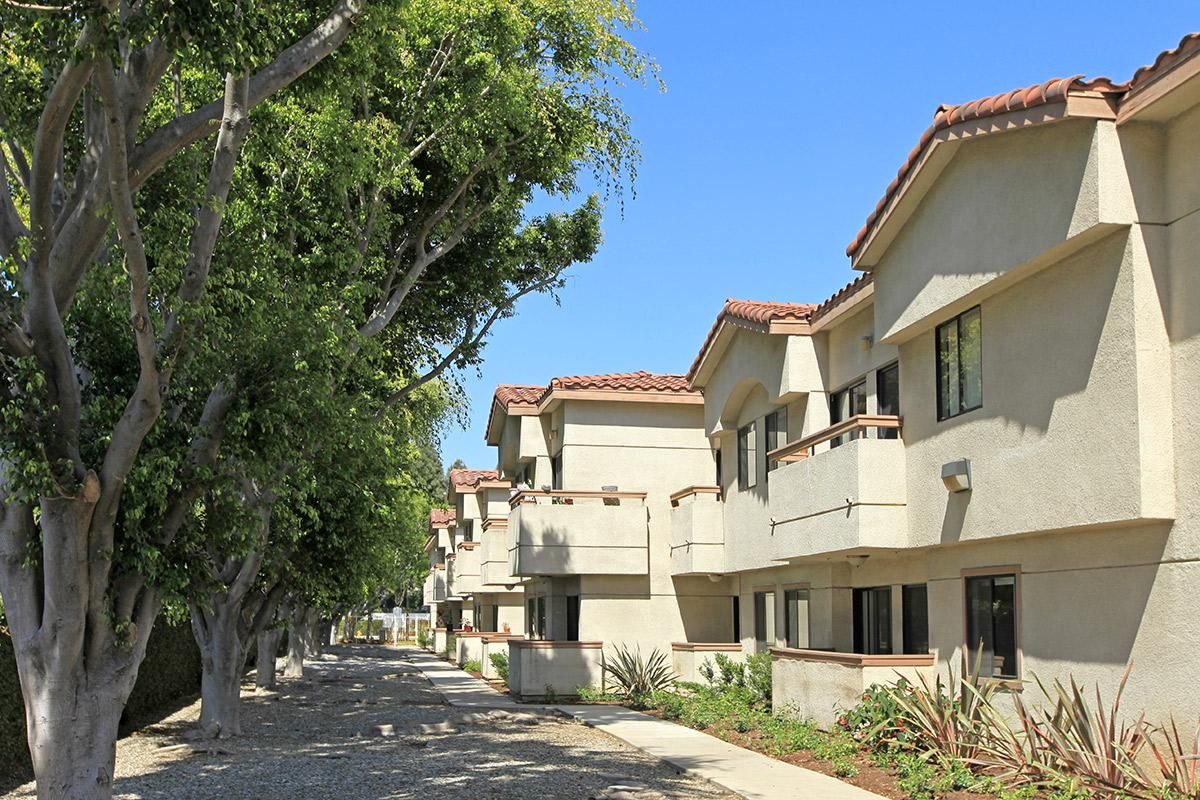 A row of residential apartment buildings with a tree-lined sidewalk on a sunny day.