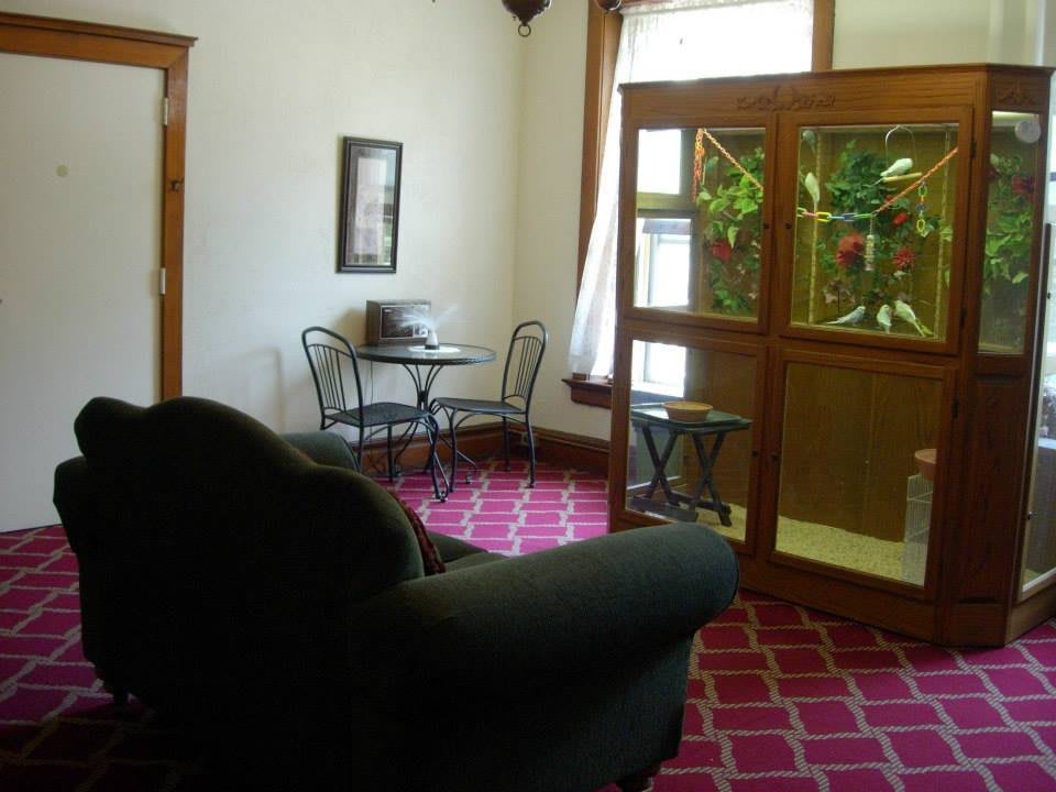 A cozy living room with a sofa, small table and chairs, and a plant display near the window.