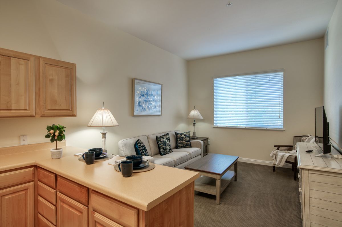 A cozy living room with a kitchen counter, sofa, and natural lighting.