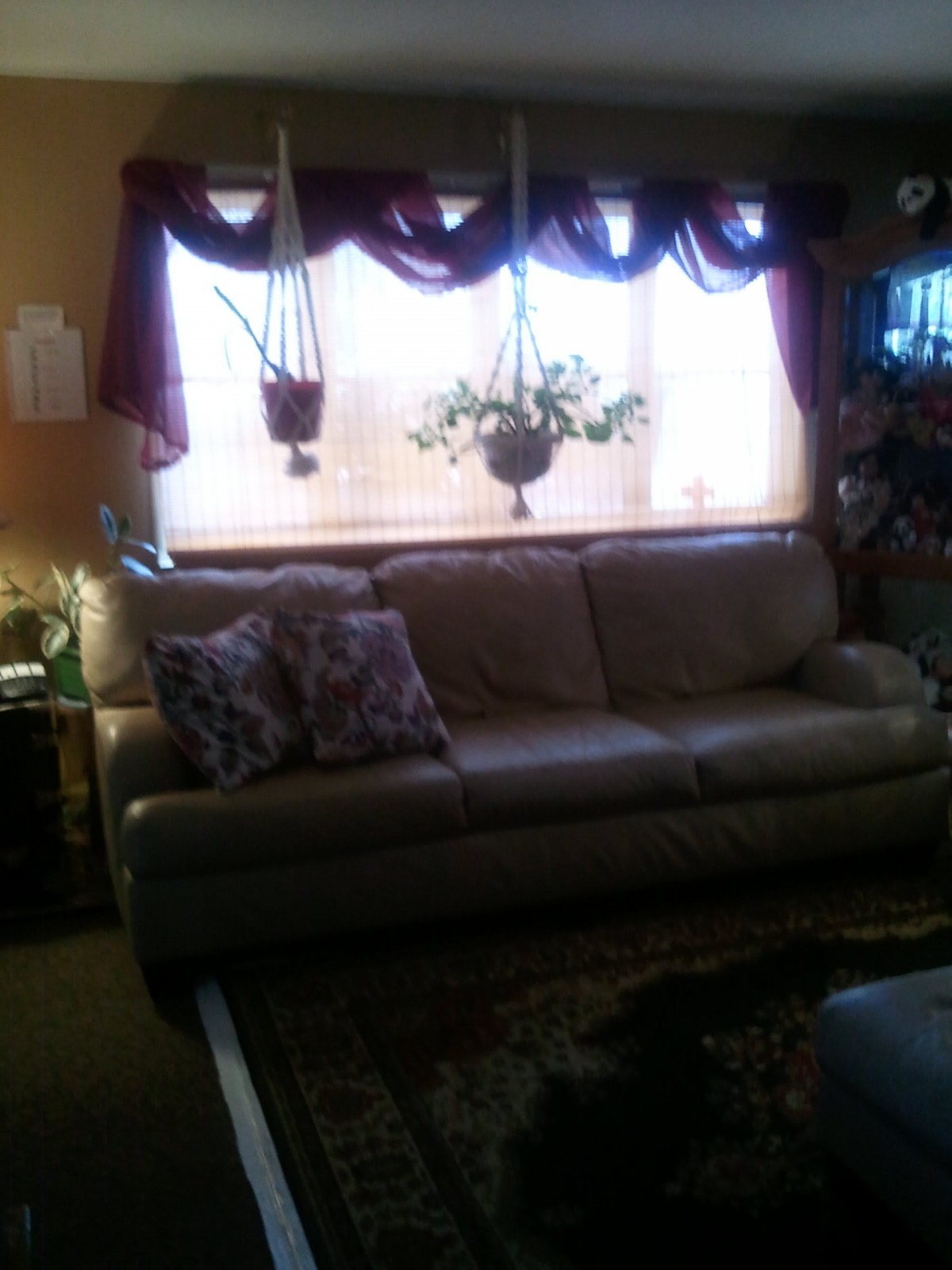 A cozy living room featuring a leather sofa, adorned with patterned cushions, and decorative plants hanging by the window.