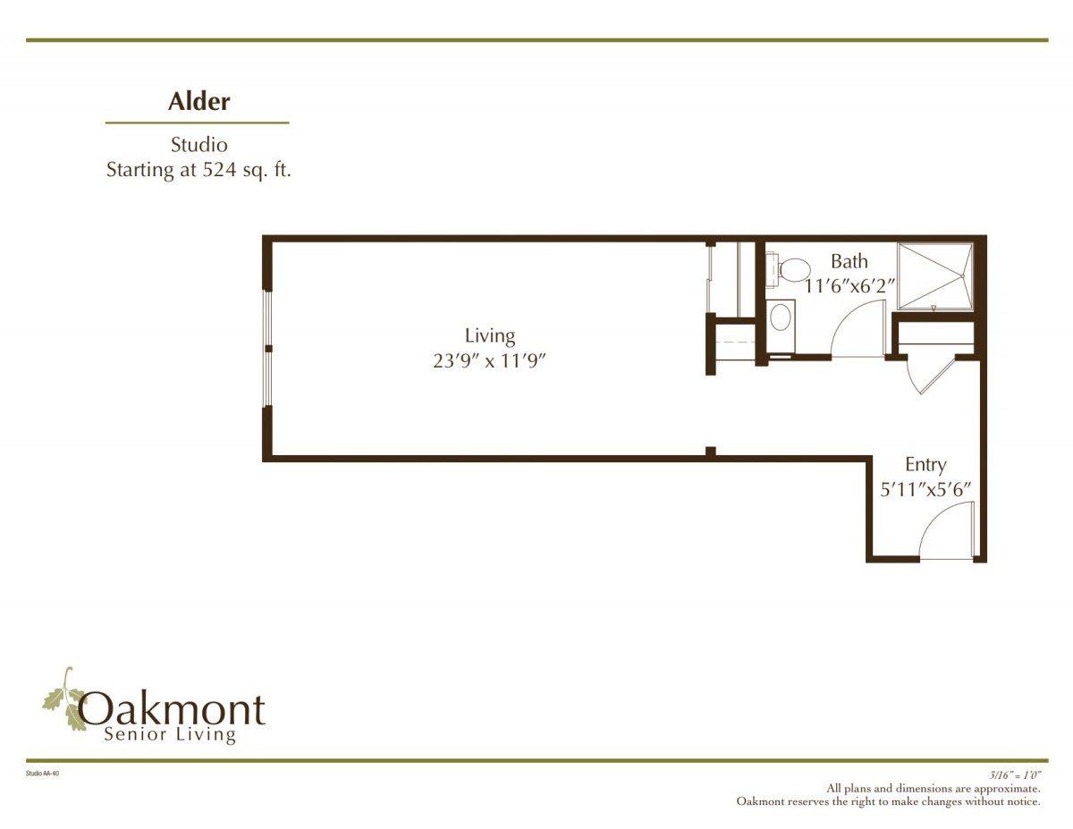 Studio apartment floor plan with a single living area, bathroom, and kitchen.