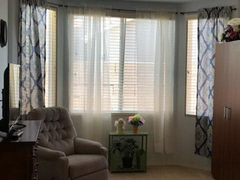 A cozy living room corner with natural light streaming through sheer curtains.