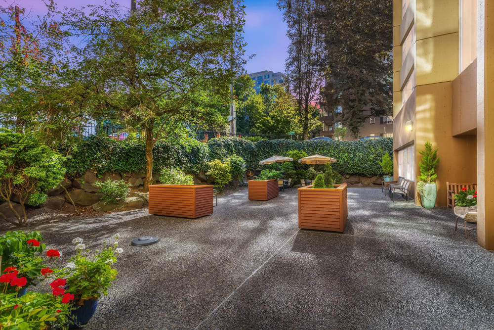 A tranquil outdoor garden area with planters and lush greenery, captured in the evening.
