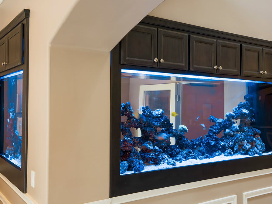 A built-in aquarium enhances the interior design of a home with its vibrant marine life and blue water.