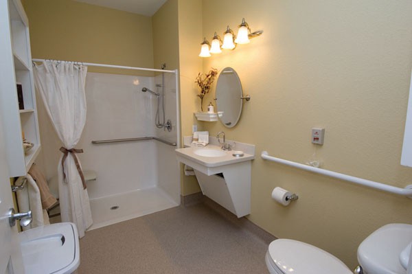 An accessible bathroom featuring a walk-in shower, sink, and toilet with safety handrails.