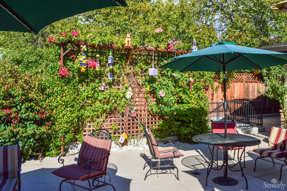 A cozy patio with outdoor furniture and lush greenery.
