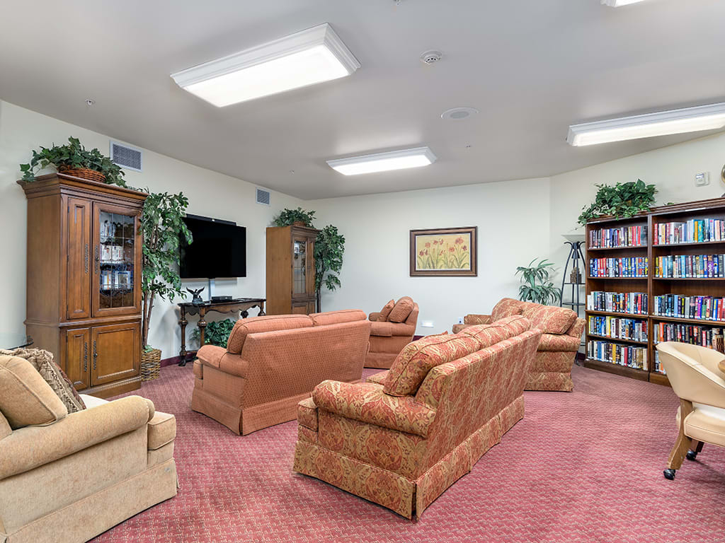 A cozy living room with sofas, armchairs, a television, bookshelves, and indoor plants.