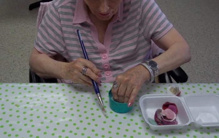 Danish Care Center