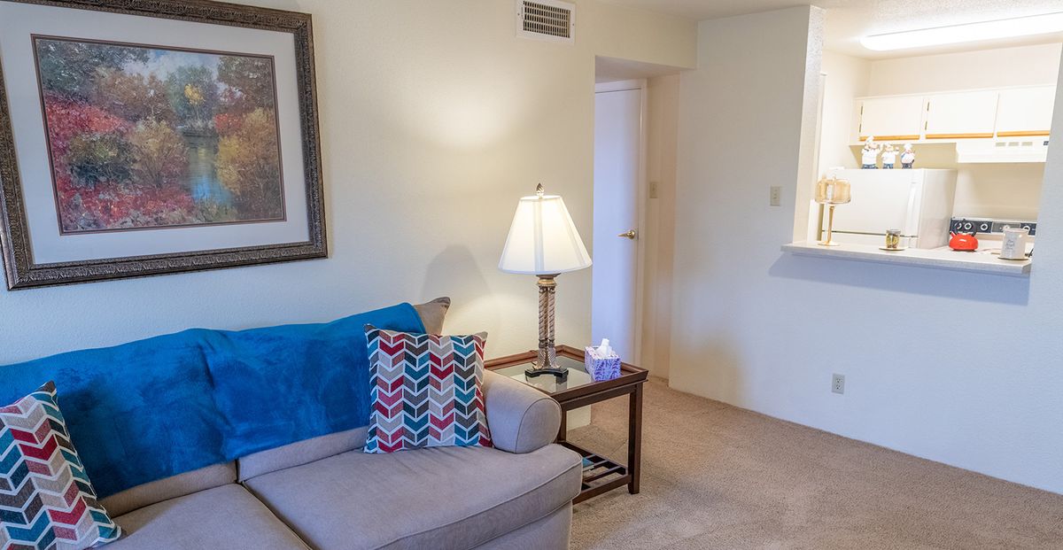 A cozy living room with a sofa, decorative pillows, and a lamp on a side table.